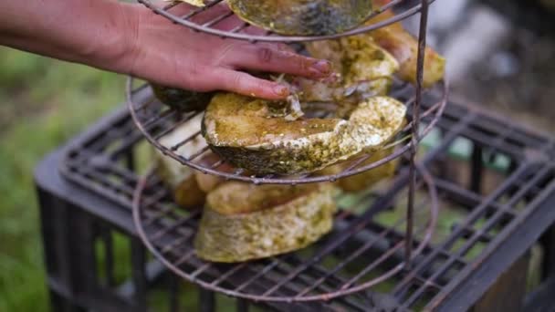 Шеф-повар кладет куски маринованной рыбы на решетки на барбекю — стоковое видео