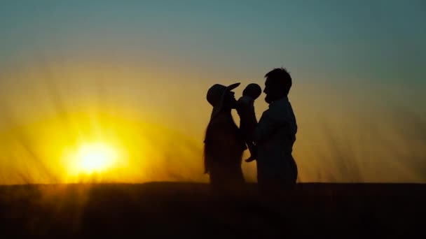 Silhouettes de famille avec bébé marchant dans le champ de blé au coucher du soleil — Video