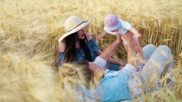 Pai levantando bebê em mãos e brincando no campo de trigo — Vídeo de Stock