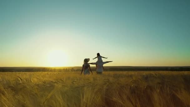 Happy parents and child pretending flying in wheat field at sunset — Stock Video