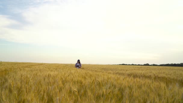 Female agronomist making notes on tablet while checking ripeness of wheat — Stock Video