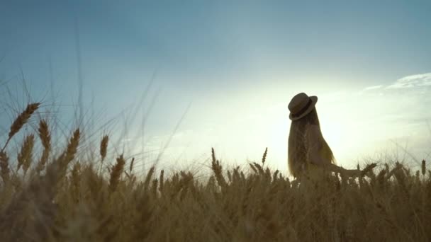 Menina romântica desfrutando do pôr do sol de verão no campo de trigo — Vídeo de Stock