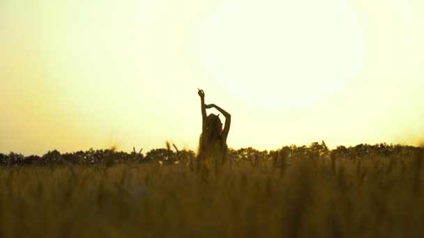 Silueta de niña de pie con los brazos levantados en el campo de trigo al atardecer — Vídeo de stock