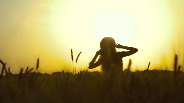 Sylwetka dziewczyny oglądającej zachód słońca na polu pszenicy — Wideo stockowe