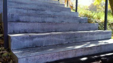 Güneşli bir günde parkta koşu ayakkabılı bir kadın.