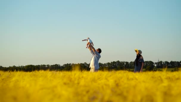 Genitori felici e bambino che si divertono nel campo di grano in estate — Video Stock