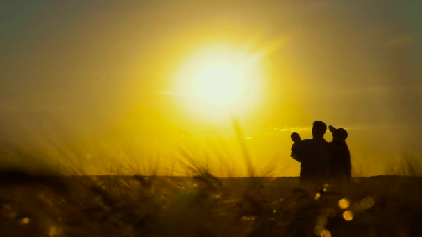 Silhuetter av ung familj med baby i vetefält vid solnedgången — Stockvideo
