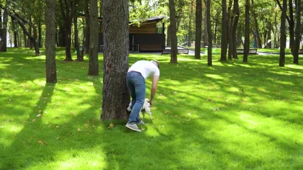 Young man walking with his dog Jack Russell in summer park — Stock Video