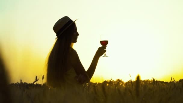 Silueta de niña bebiendo vino en el campo de trigo — Vídeo de stock