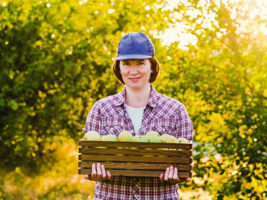 Bahçede bir kutu yeşil elma taşıyan kadın çiftçi.