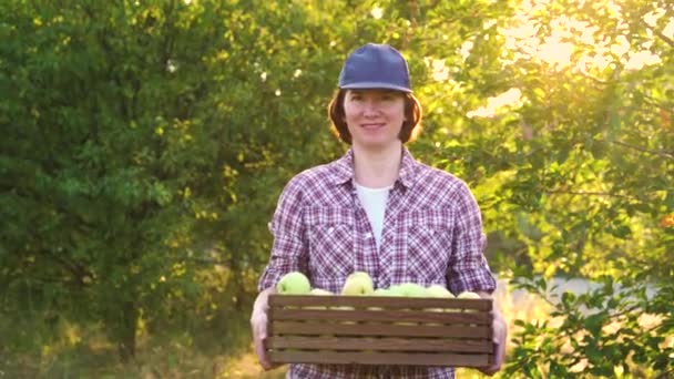 快乐的农民带着一盒苹果在阳光灿烂的果园里散步 — 图库视频影像