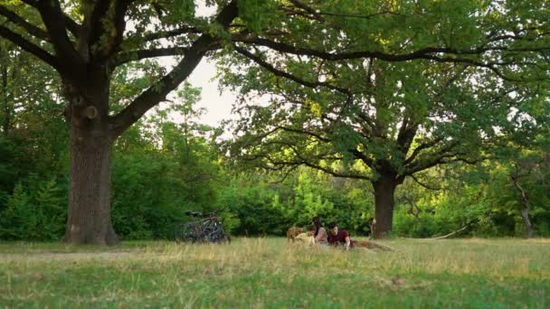 Familj med hund som har picknick under träd efter cykeltur — Stockvideo