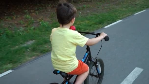 Мальчик катается на велосипеде по велосипедной дорожке летом — стоковое видео