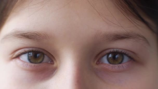 茶色の目の女の子見ますでカメラ — ストック動画