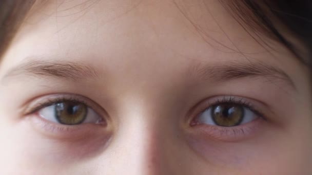 Brun yeux de fille regardant caméra — Video