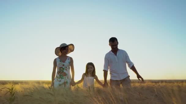 Amare i genitori che camminano con la piccola figlia in campo — Video Stock