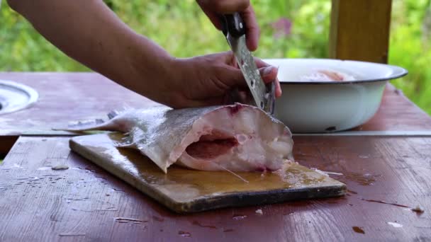 Man skär rå fisk i trädgården — Stockvideo