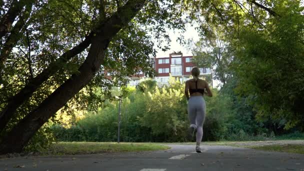 Подтянутая женщина бегает в парке по утрам — стоковое видео