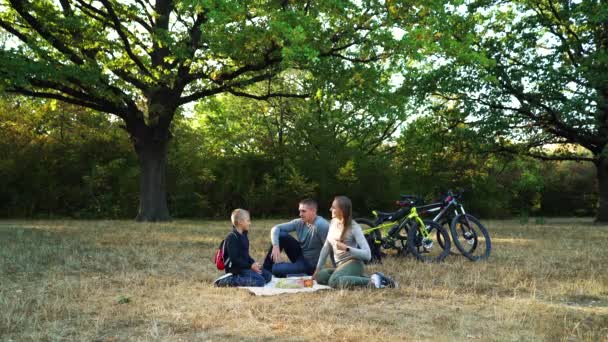 愛する家族は森のピクニックで高い5を与える — ストック動画