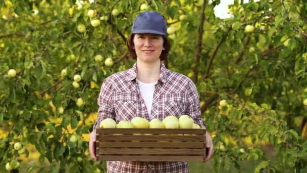 Glückliche Bäuerin hält Schachtel mit Äpfeln im Obstgarten — Stockvideo