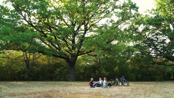 森の中でピクニックをしながら手を演奏する家族 — ストック動画