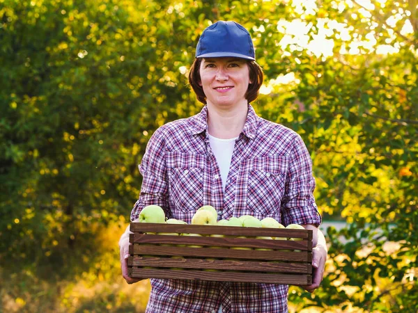 Šťastný farmář kráčí ve slunečném sadu s krabicí jablek — Stock fotografie