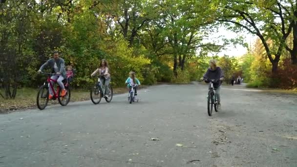 Gezin met drie dochters fietsen in park — Stockvideo