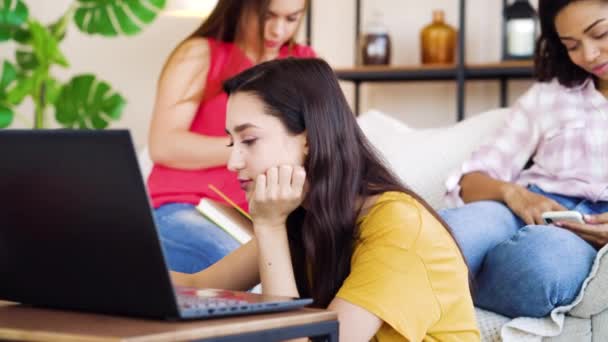 Estudante recebendo boas notícias no laptop e amigos dando alta cinco — Vídeo de Stock