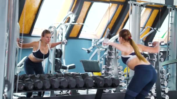 Fit mujer levantando pesas delante del espejo en el gimnasio — Vídeos de Stock