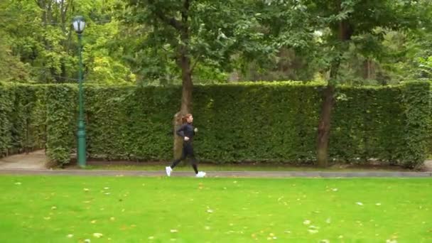 Frau joggt morgens im Park — Stockvideo