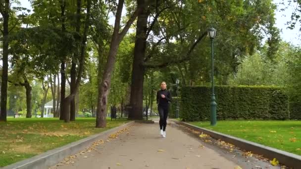 Mulher desportiva correndo no parque no início do outono — Vídeo de Stock