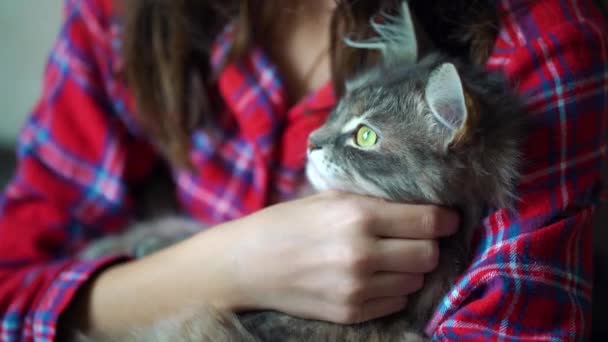 Ragazza in pigiama con il gatto in braccio — Video Stock