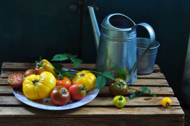 natürmort, domates ve bitkiler