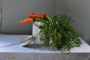 Beyaz arka planda taze havuç ve soğan.