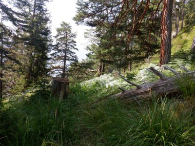 Doğanın güzel manzarası