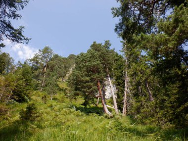 Doğanın güzel manzarası
