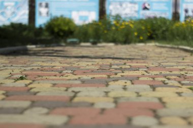 Bahçede peyzaj. Bahçedeki patika.