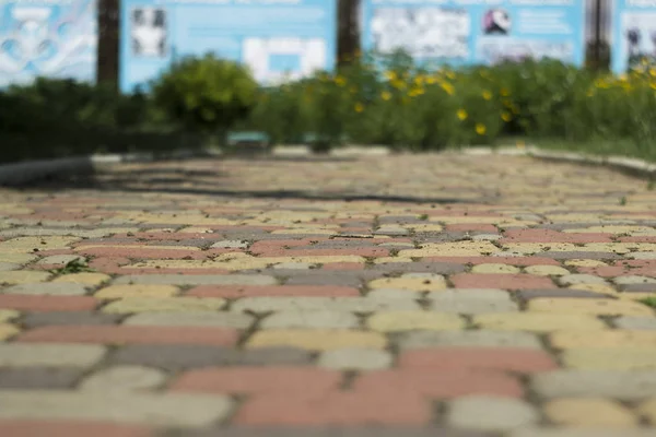 Bahçede peyzaj. Bahçedeki patika.