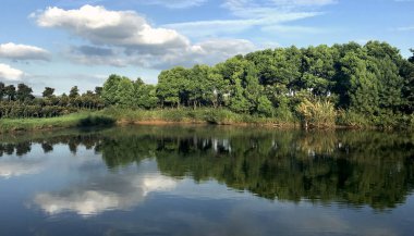 Ağaçlar ve gökyüzü göl yansıması