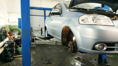 Geleneksel Rus mantı, mantı, dar etli köfte