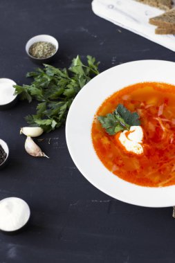 Geleneksel Ukraynalı Rus borsch ekşi krema ve beyaz b
