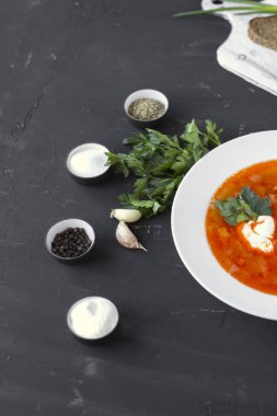 Geleneksel Ukraynalı Rus borsch ekşi krema ve beyaz b