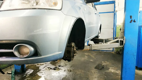 Geleneksel Rus mantı, mantı, dar etli köfte