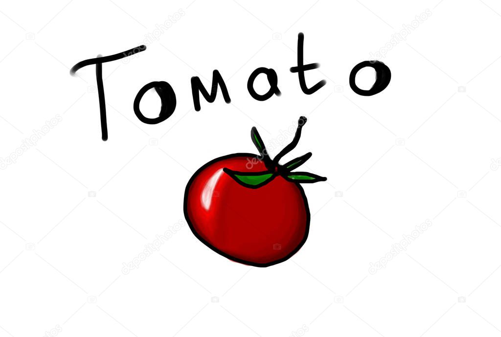 tomato illustration with hand drawn ink lettering, tomato emblem
