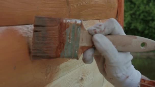 Gros plan Peinture en bois avec un pinceau de couleur marron — Video