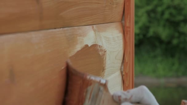 Pittura murale in legno con pennello con il colore marrone — Video Stock