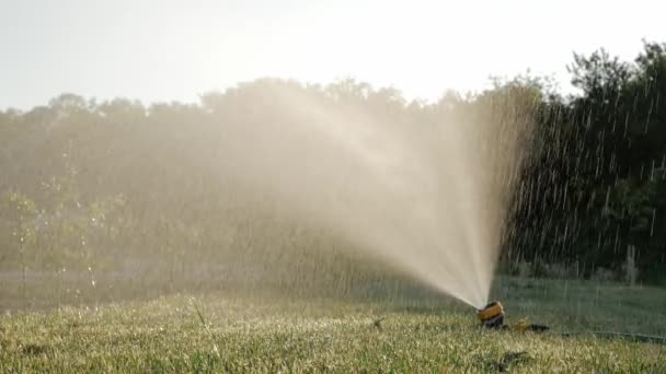 Sparkling water spraying out of sprinkler on the green lawn. — Stock Video