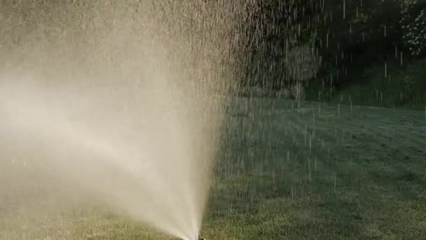 Watering the green grass. — Stock Video