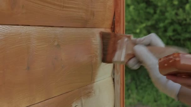 Gros Plan Peinture Bois Avec Pinceau Couleur Marron — Video