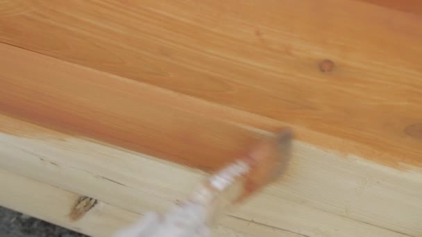 Closeup of hand in protective glove painting wooden plank house wall with paintbrush in brown color. — Stock Video